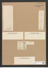 Stauroneis birostris Ehrenb. (de-Toni-Nr.: Genus 6, Species 941) Zeichnungen Sammlung Grunow Nr. 1794 (NHMW-BOT-W0368700)